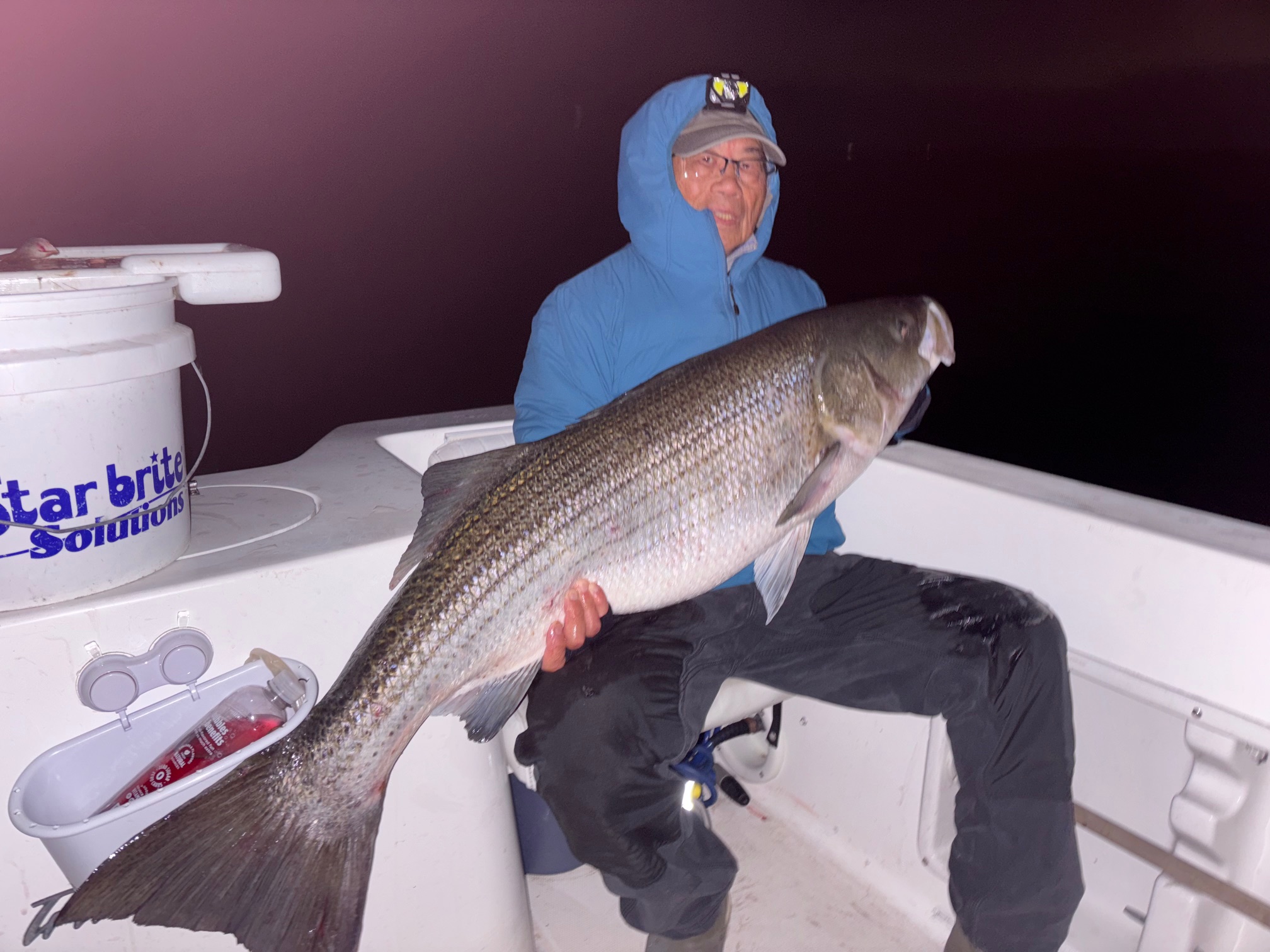 Ron Leong 51 inch striped bass
